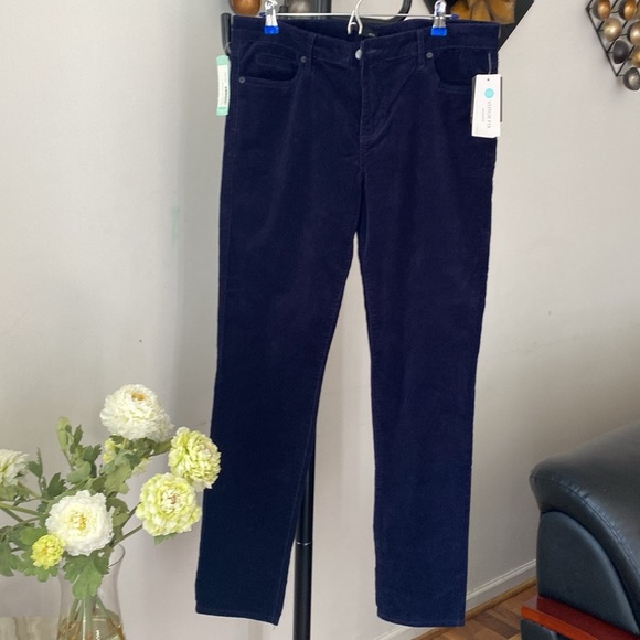 Host Pick 💙 Edyson Hampton Skinny Women’s Corduroy Pants Stitch Fix 33 NWT - Picture 1 of 10